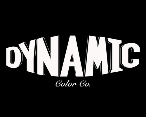 Dynamic Color Co Logo